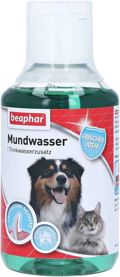 BEAPHAR - Zahnpasta Für Hunde Und Katzen - Schützt vor Plaque Und Zahnstein - Mit Leber-Geschmack - Ohne Fluoride - 100 g