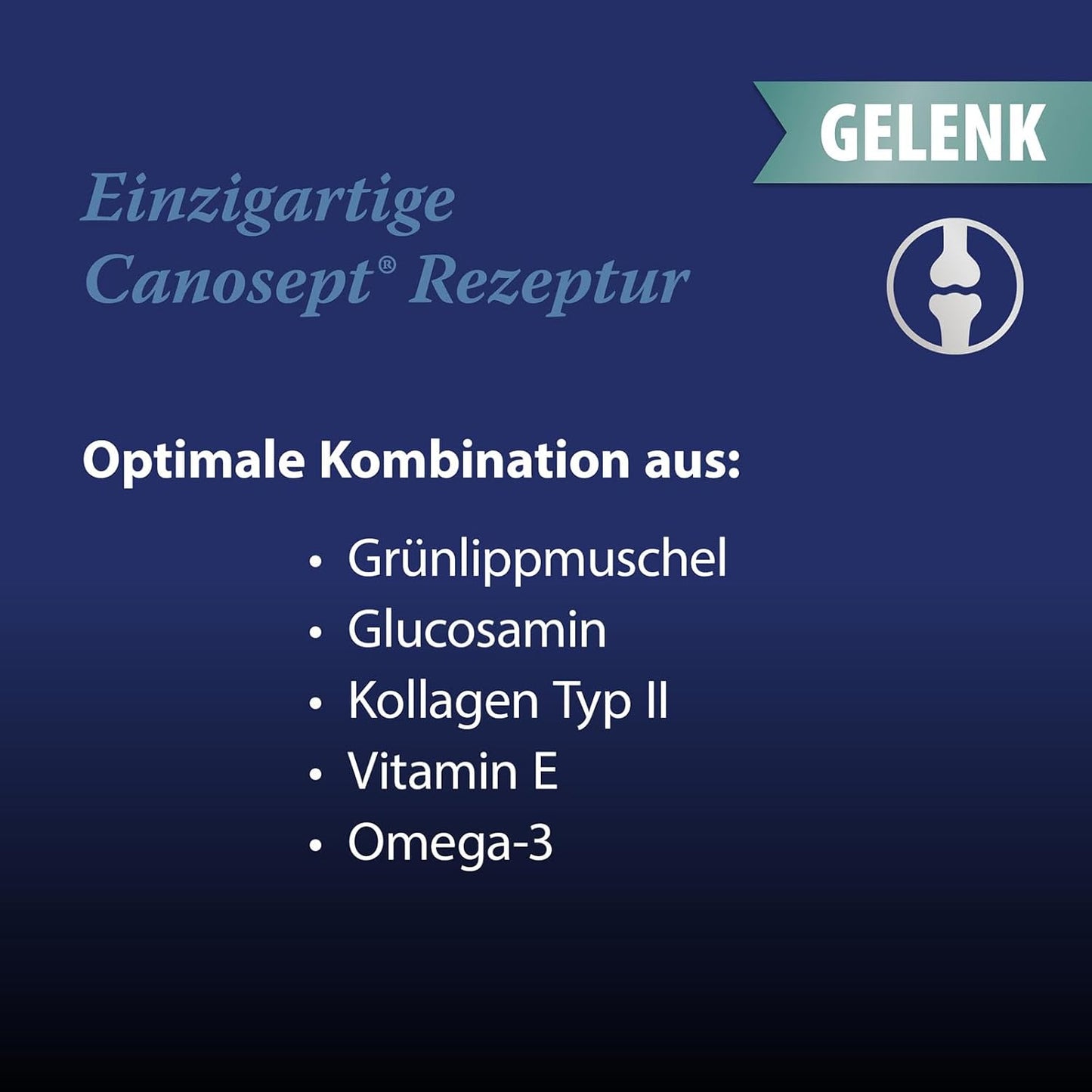 Canosept Darmflora Hund - Präbiotika & Probiotika Hund - Unterstützt bei Verdauungsstörungen - Hund Darmflora Aufbauen - Darmsarnierung Hund - Hund Verdauung fördern durch Darmkur Hund - 30 Tabletten