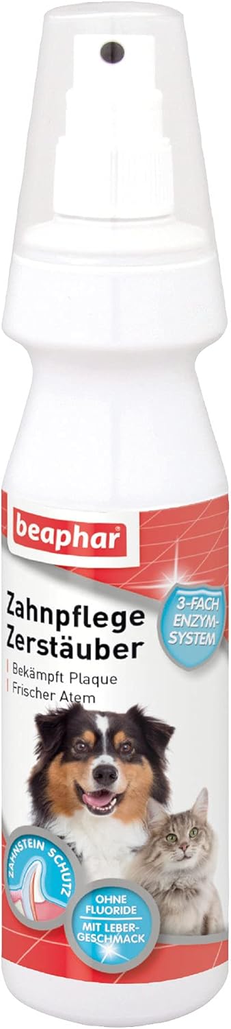 BEAPHAR - Zahnpasta Für Hunde Und Katzen - Schützt vor Plaque Und Zahnstein - Mit Leber-Geschmack - Ohne Fluoride - 100 g