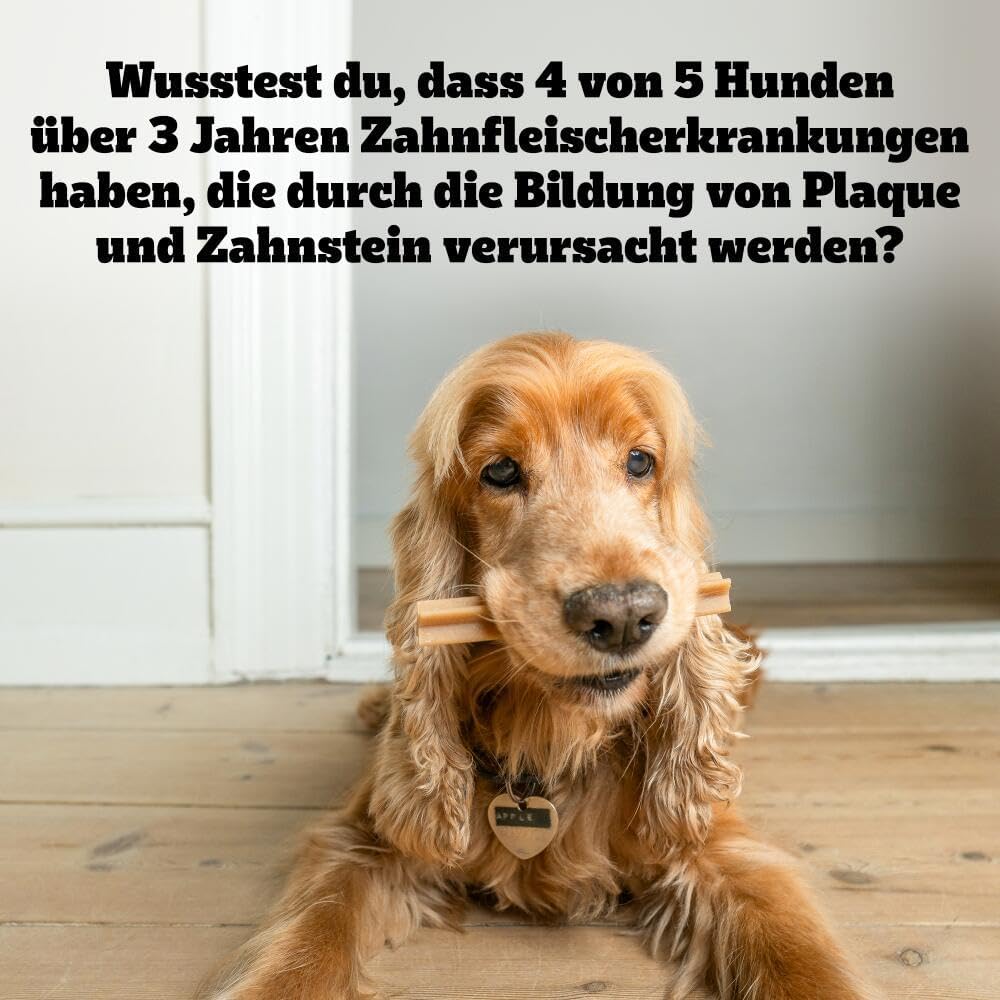 PEDIGREE DentaStix Zahnpflegesnack - 112 Stück - für große Hunde (+25kg) - Hundeleckerli mit Huhn– & Rindgeschmack für jeden Tag, Zahnpflege Hund für gesunde Zähne - 1 Großpackung