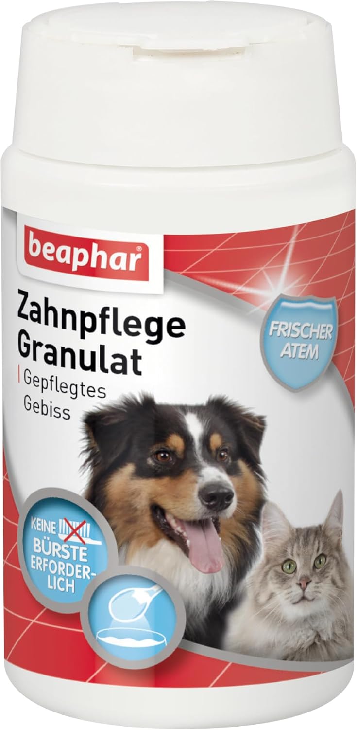 BEAPHAR - Zahnpasta Für Hunde Und Katzen - Schützt vor Plaque Und Zahnstein - Mit Leber-Geschmack - Ohne Fluoride - 100 g