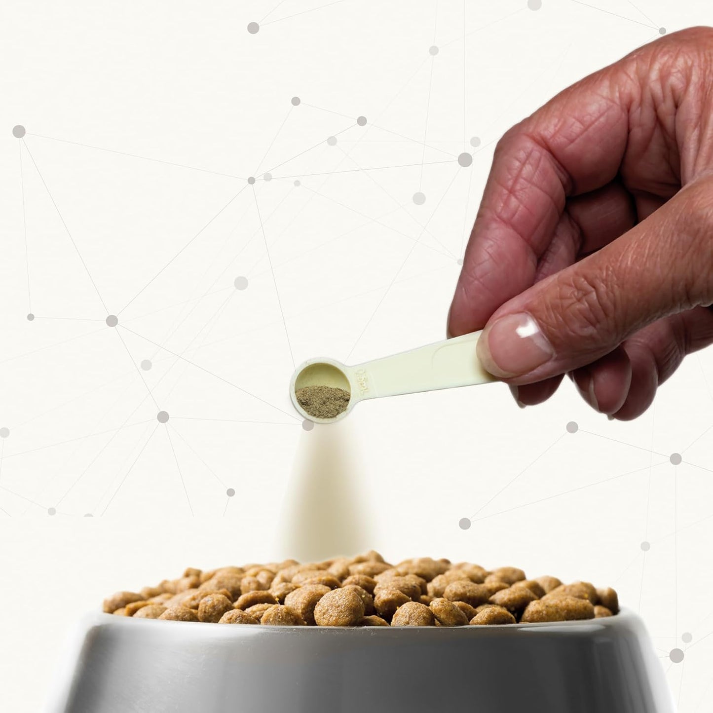 BEAPHAR - Zahnpasta Für Hunde Und Katzen - Schützt vor Plaque Und Zahnstein - Mit Leber-Geschmack - Ohne Fluoride - 100 g