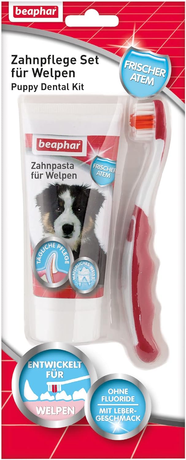 BEAPHAR - Zahnpasta Für Hunde Und Katzen - Schützt vor Plaque Und Zahnstein - Mit Leber-Geschmack - Ohne Fluoride - 100 g