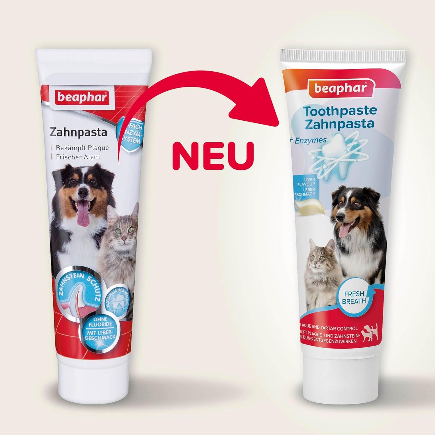 BEAPHAR - Zahnpasta Für Hunde Und Katzen - Schützt vor Plaque Und Zahnstein - Mit Leber-Geschmack - Ohne Fluoride - 100 g