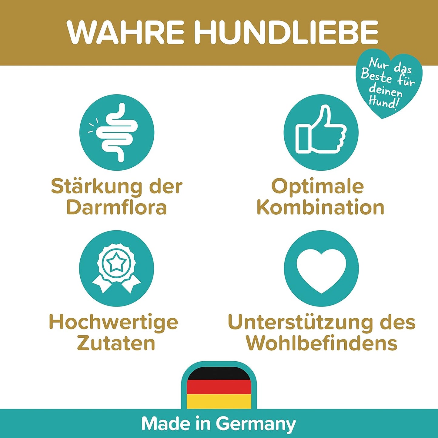Probiotika Darmsanierung für den Hund - Premium Qualität Made in Germany - Probiotika Hund - 120 Tabletten für verbesserte Verdauung & Immunsystem - Hund Darmflora aufbauen mit Natureflow Pets