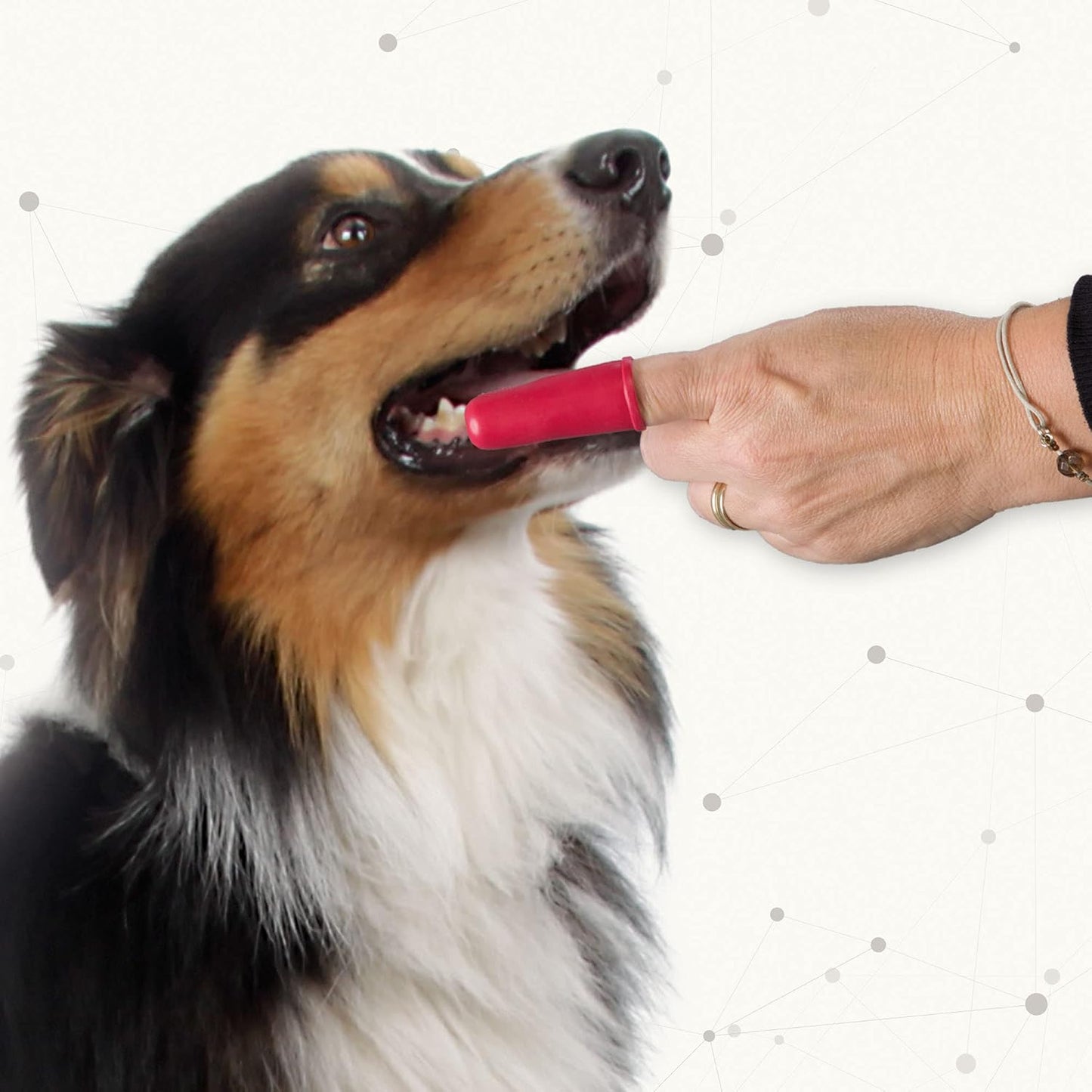 BEAPHAR - Zahnpasta Für Hunde Und Katzen - Schützt vor Plaque Und Zahnstein - Mit Leber-Geschmack - Ohne Fluoride - 100 g