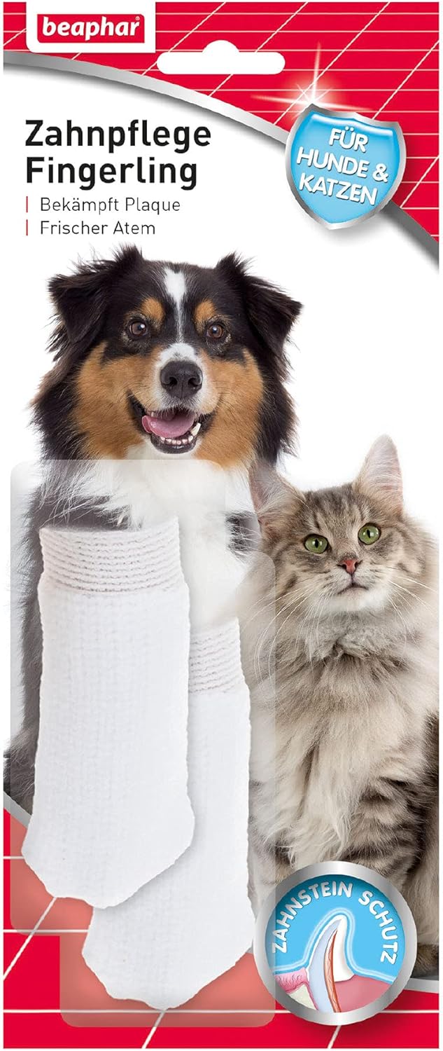 BEAPHAR - Zahnpasta Für Hunde Und Katzen - Schützt vor Plaque Und Zahnstein - Mit Leber-Geschmack - Ohne Fluoride - 100 g
