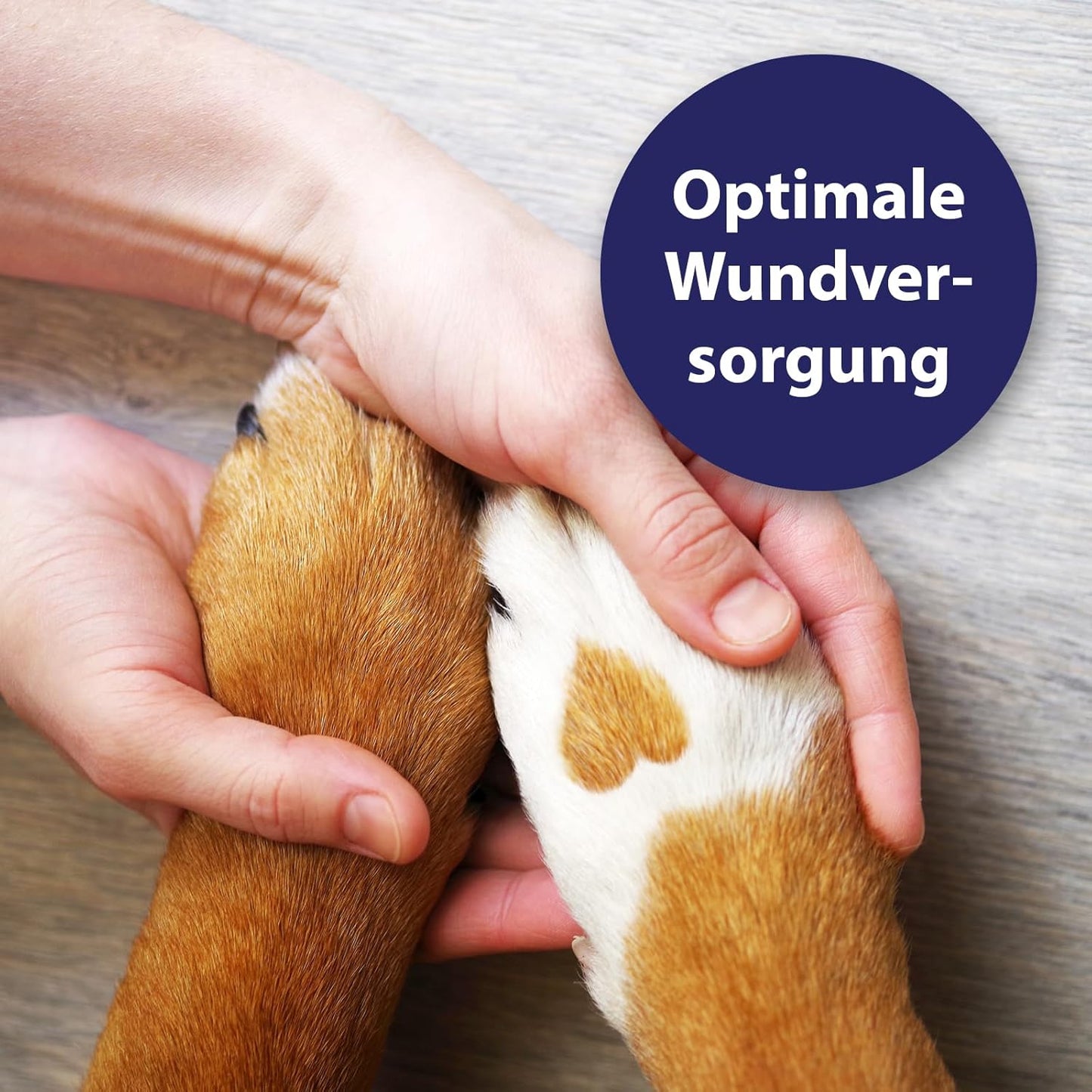 Canosept Darmflora Hund - Präbiotika & Probiotika Hund - Unterstützt bei Verdauungsstörungen - Hund Darmflora Aufbauen - Darmsarnierung Hund - Hund Verdauung fördern durch Darmkur Hund - 30 Tabletten