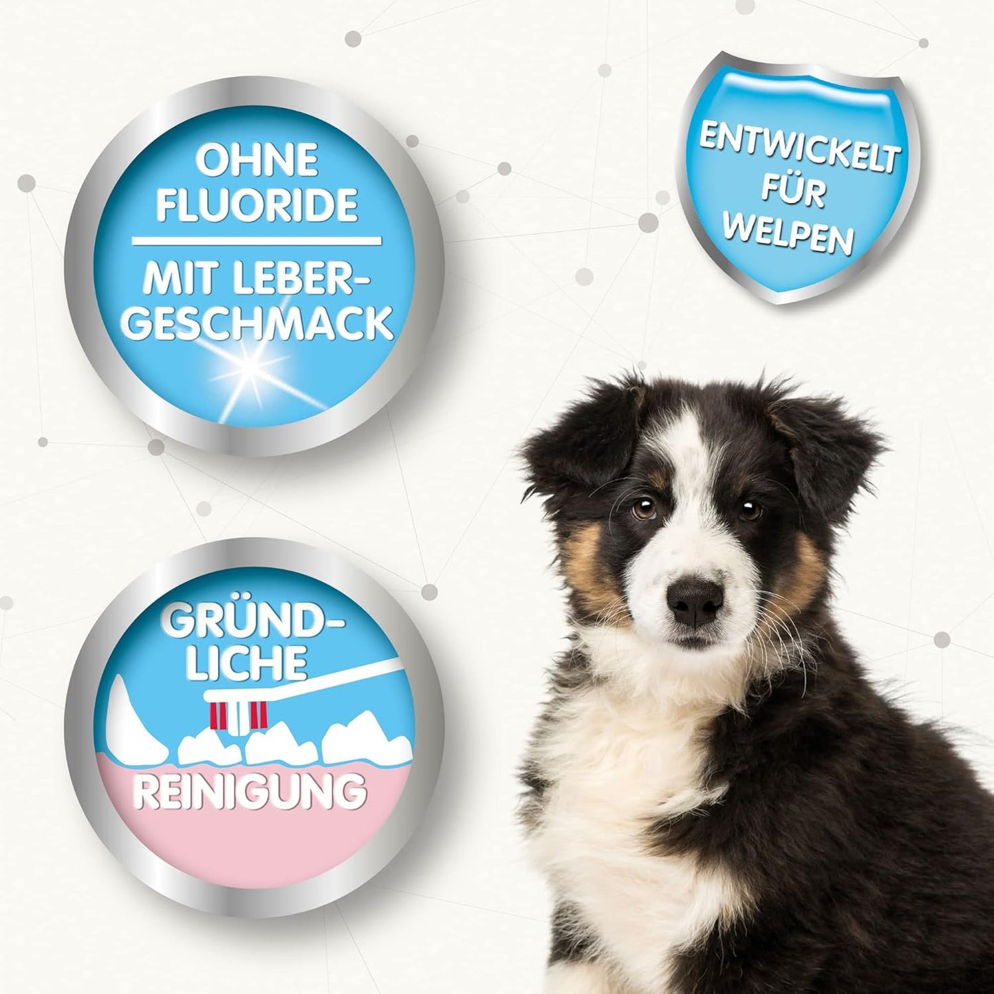 BEAPHAR - Zahnpasta Für Hunde Und Katzen - Schützt vor Plaque Und Zahnstein - Mit Leber-Geschmack - Ohne Fluoride - 100 g