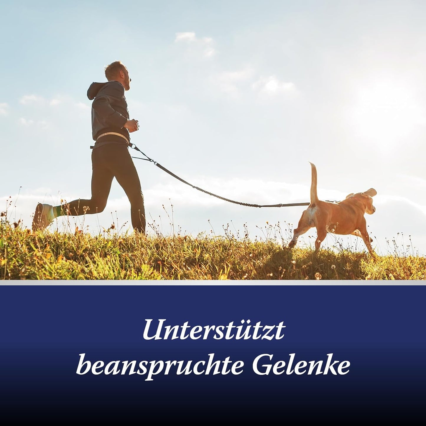 Canosept Darmflora Hund - Präbiotika & Probiotika Hund - Unterstützt bei Verdauungsstörungen - Hund Darmflora Aufbauen - Darmsarnierung Hund - Hund Verdauung fördern durch Darmkur Hund - 30 Tabletten