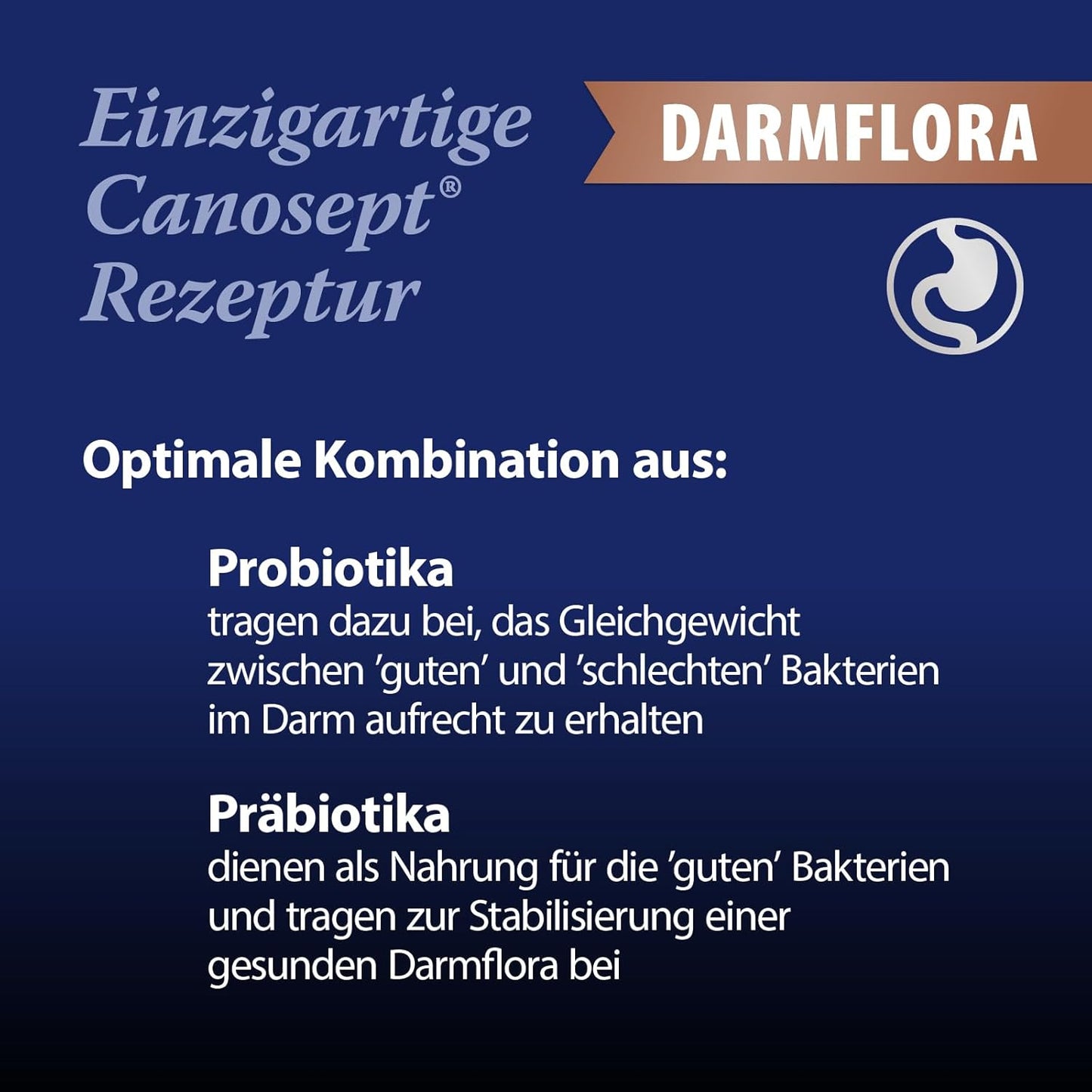 Canosept Darmflora Hund - Präbiotika & Probiotika Hund - Unterstützt bei Verdauungsstörungen - Hund Darmflora Aufbauen - Darmsarnierung Hund - Hund Verdauung fördern durch Darmkur Hund - 30 Tabletten