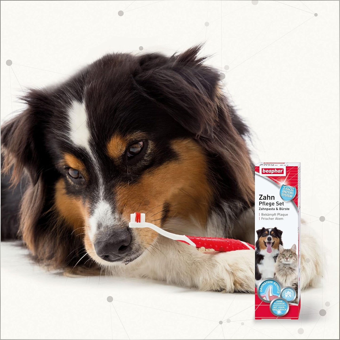 BEAPHAR - Zahnpasta Für Hunde Und Katzen - Schützt vor Plaque Und Zahnstein - Mit Leber-Geschmack - Ohne Fluoride - 100 g