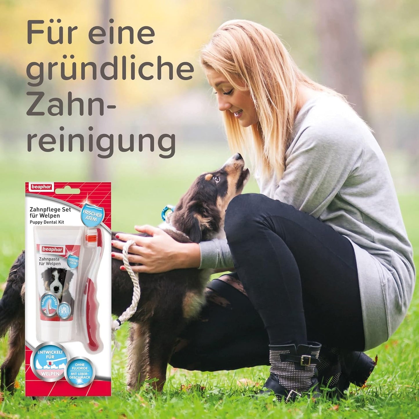 BEAPHAR - Zahnpasta Für Hunde Und Katzen - Schützt vor Plaque Und Zahnstein - Mit Leber-Geschmack - Ohne Fluoride - 100 g
