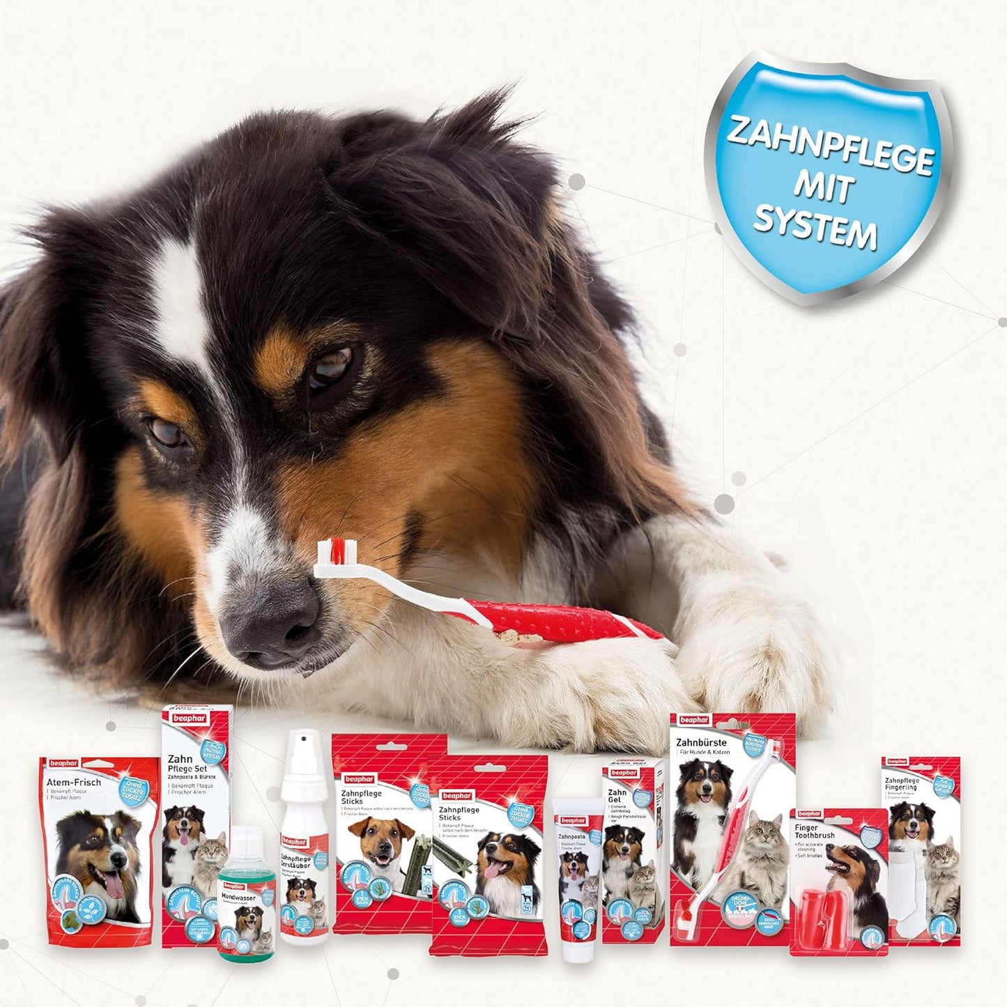 BEAPHAR - Zahnpasta Für Hunde Und Katzen - Schützt vor Plaque Und Zahnstein - Mit Leber-Geschmack - Ohne Fluoride - 100 g