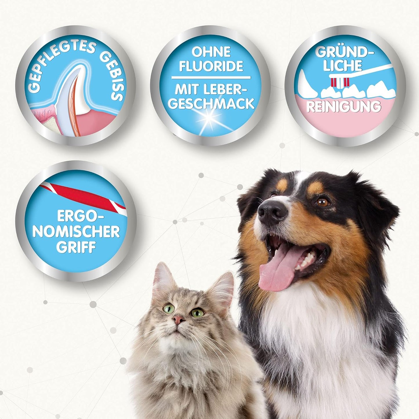 BEAPHAR - Zahnpasta Für Hunde Und Katzen - Schützt vor Plaque Und Zahnstein - Mit Leber-Geschmack - Ohne Fluoride - 100 g