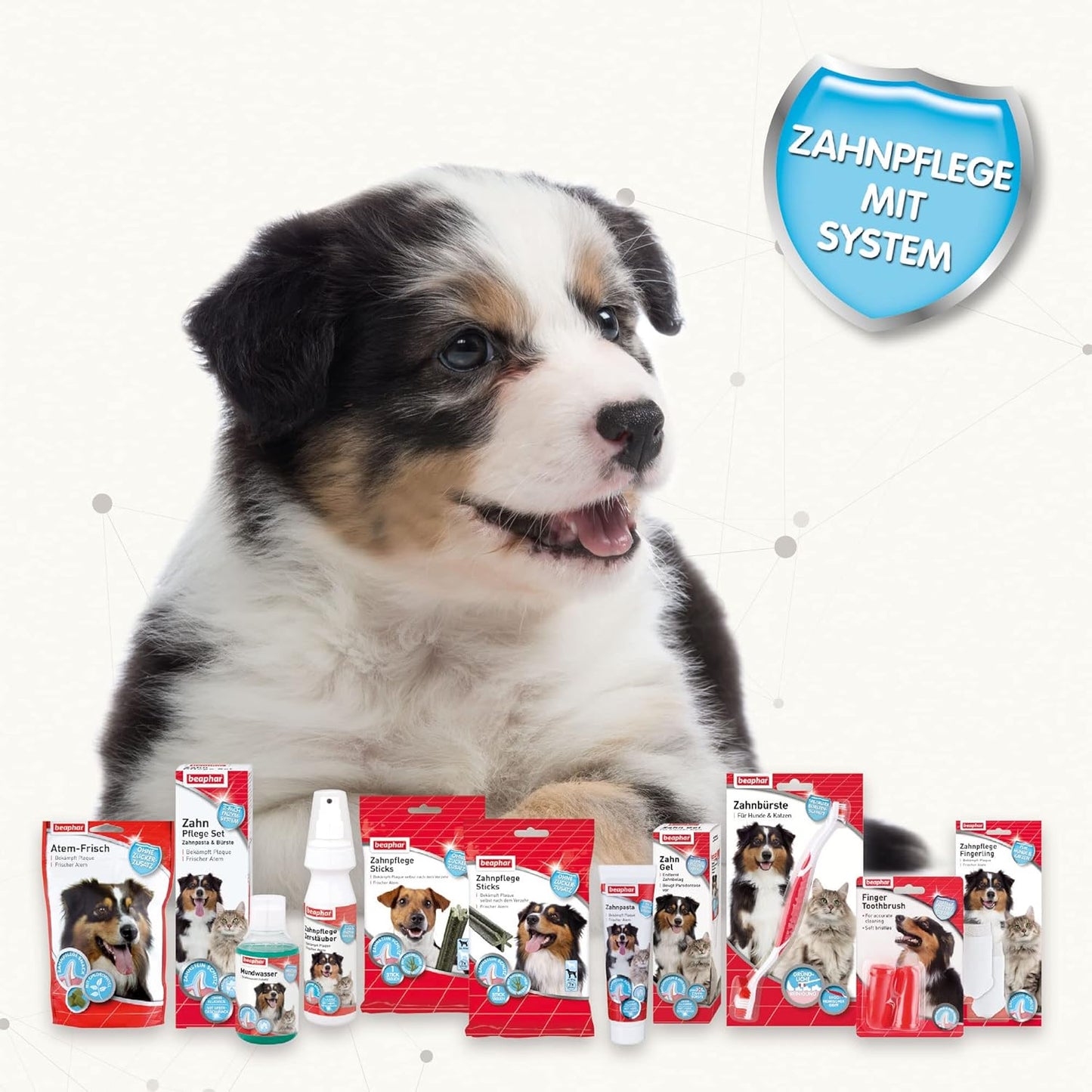 BEAPHAR - Zahnpasta Für Hunde Und Katzen - Schützt vor Plaque Und Zahnstein - Mit Leber-Geschmack - Ohne Fluoride - 100 g