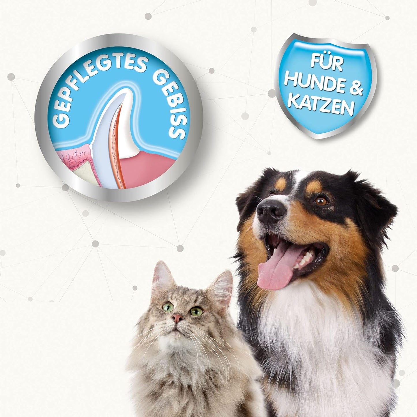 BEAPHAR - Zahnpasta Für Hunde Und Katzen - Schützt vor Plaque Und Zahnstein - Mit Leber-Geschmack - Ohne Fluoride - 100 g