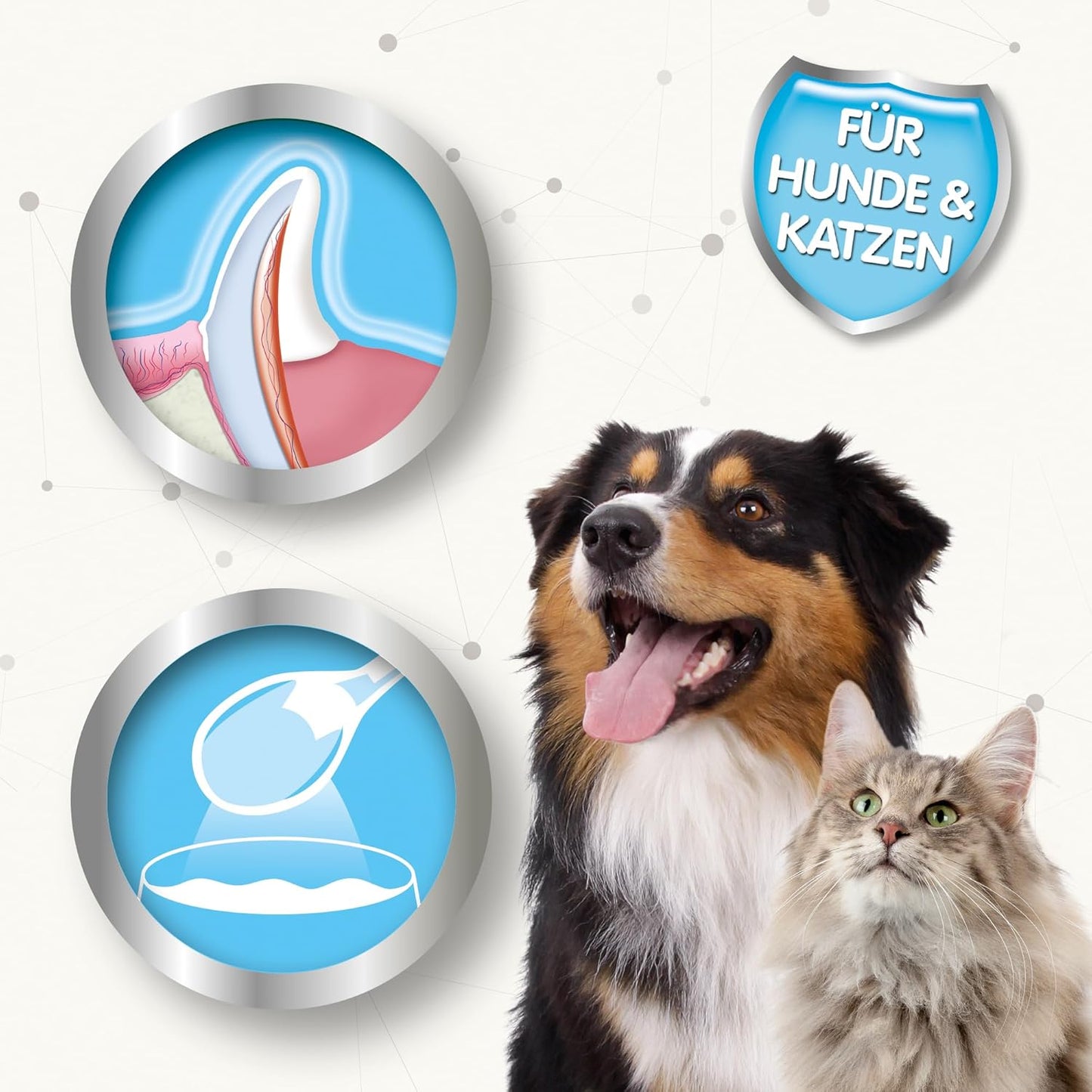 BEAPHAR - Zahnpasta Für Hunde Und Katzen - Schützt vor Plaque Und Zahnstein - Mit Leber-Geschmack - Ohne Fluoride - 100 g