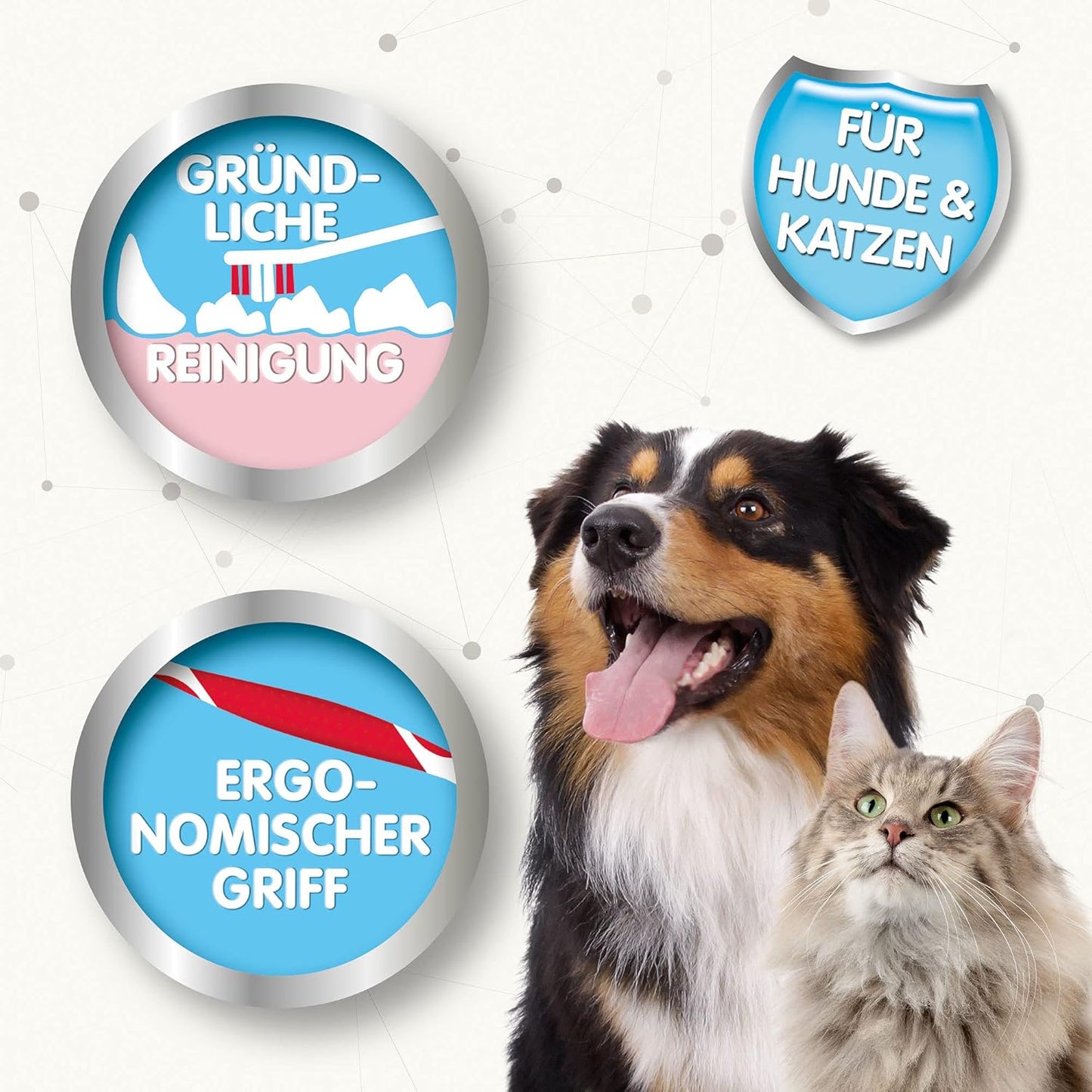 BEAPHAR - Zahnpasta Für Hunde Und Katzen - Schützt vor Plaque Und Zahnstein - Mit Leber-Geschmack - Ohne Fluoride - 100 g