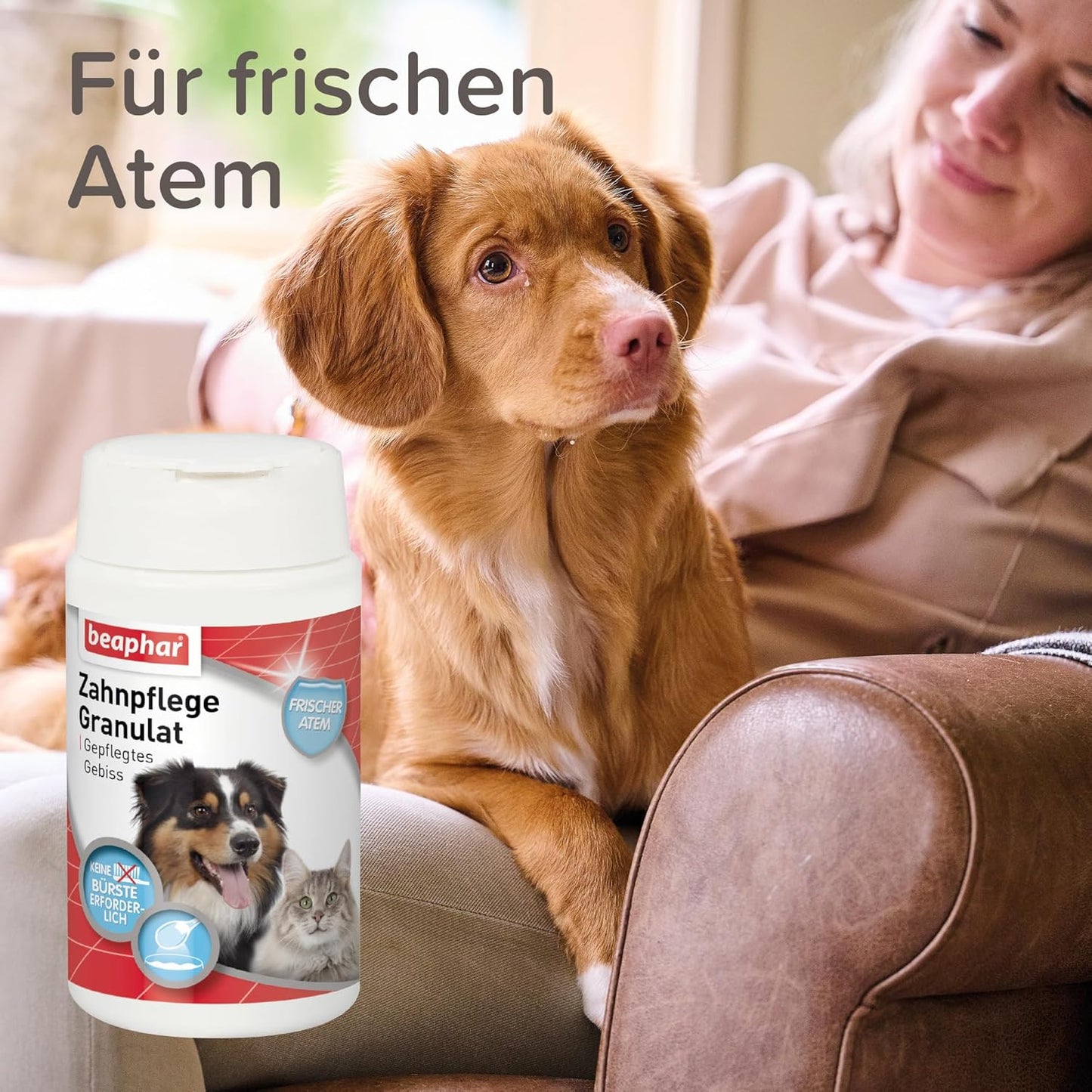 BEAPHAR - Zahnpasta Für Hunde Und Katzen - Schützt vor Plaque Und Zahnstein - Mit Leber-Geschmack - Ohne Fluoride - 100 g