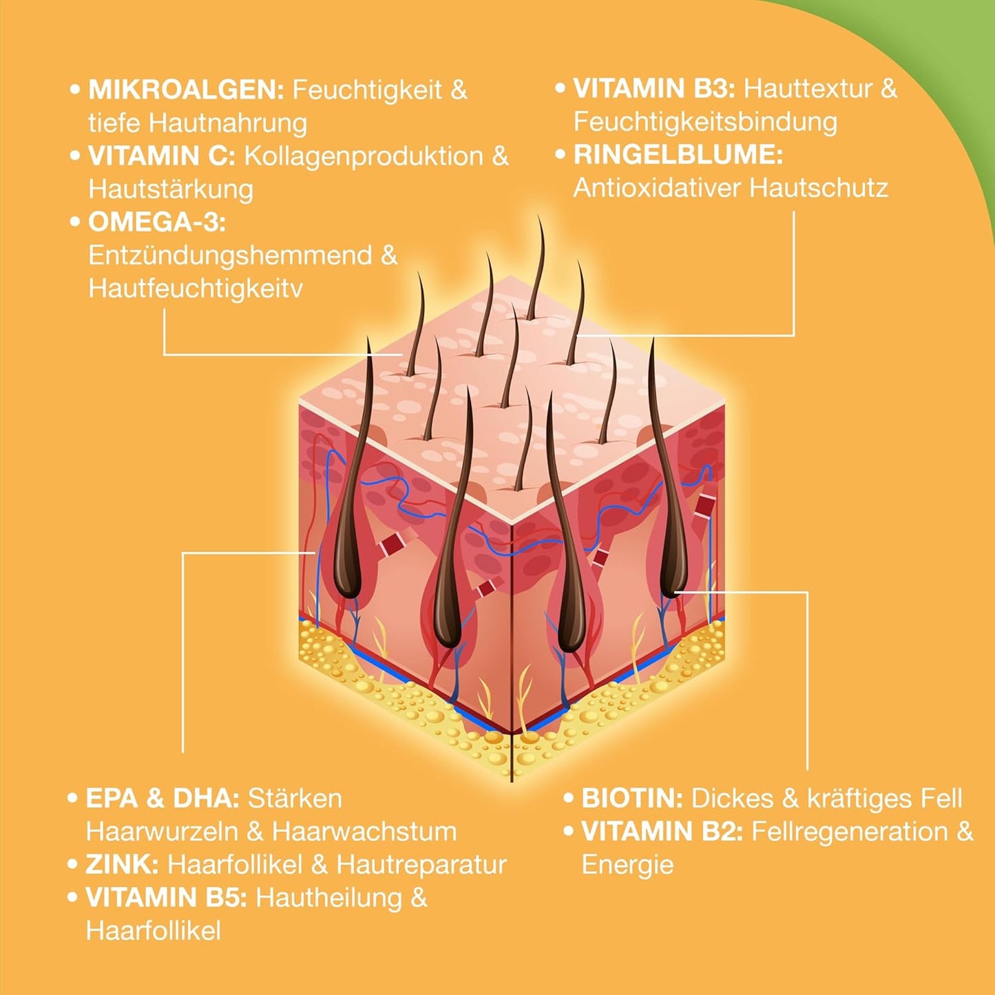 Fellpracht Snacks – Unterstützt Haut & Fell deines Hundes – Nahrungsergänzung mit Lachsöl, Bierhefe, Biotin, Omega-3 & Zink – Gegen Juckreiz, Haarausfall & Allergien