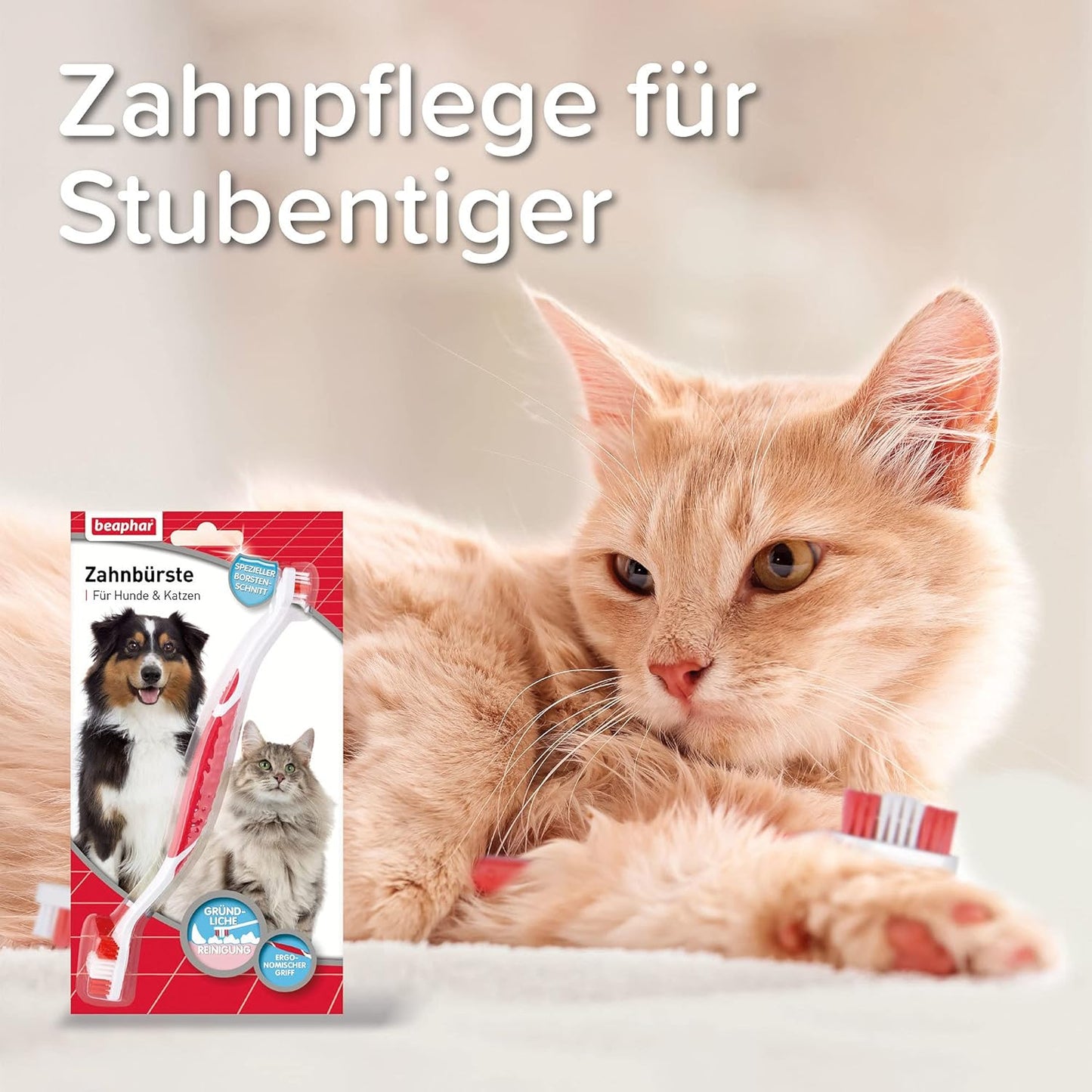 BEAPHAR - Zahnpasta Für Hunde Und Katzen - Schützt vor Plaque Und Zahnstein - Mit Leber-Geschmack - Ohne Fluoride - 100 g