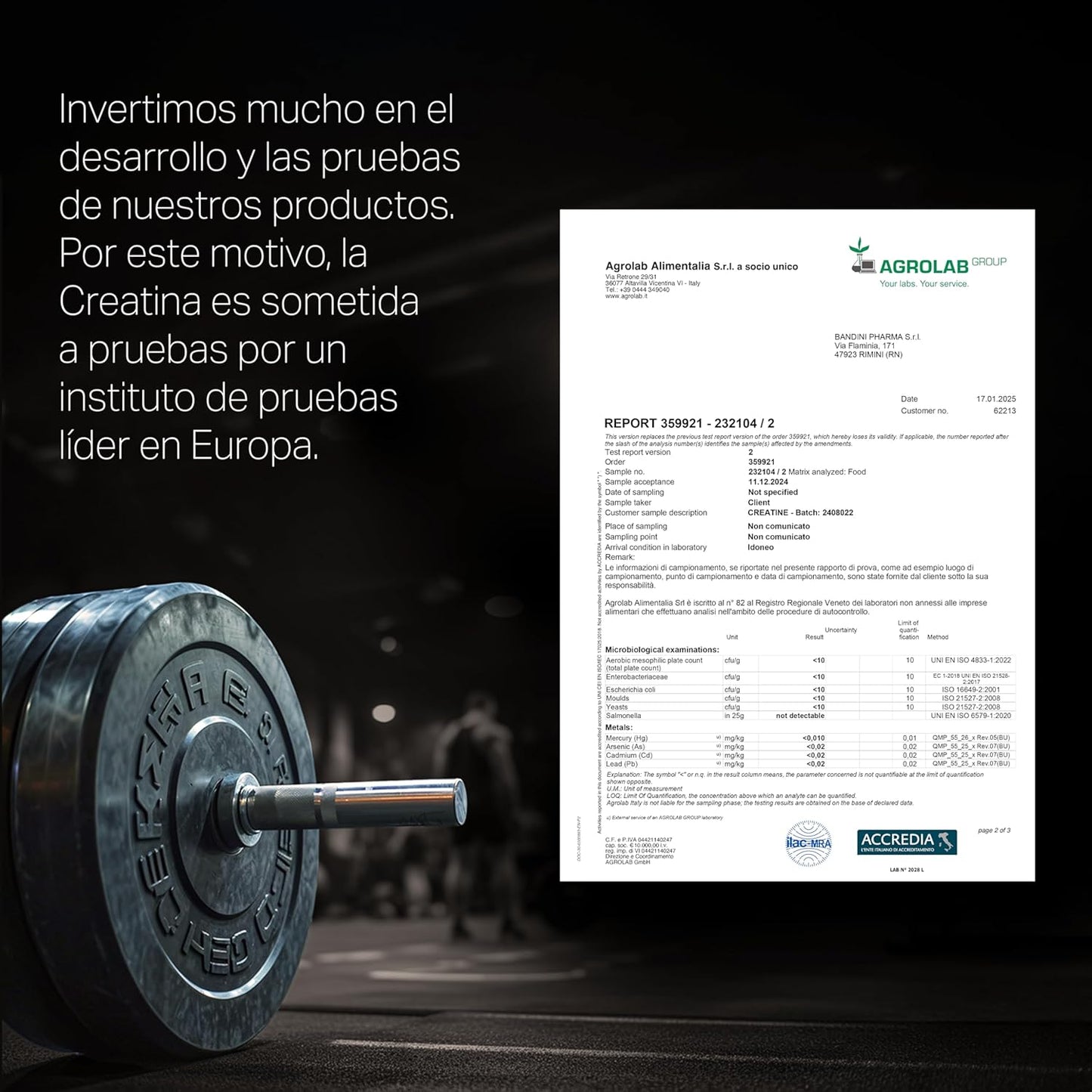 Bandini® Kreatin Pulver Mikrofasern, 100 % reines Kreatin-Monohydrat für Leistung und Muskelkraft, geschmacksneutral, inklusive 88 Portionen Dosierer, 300 Gramm, vegan – Kreatin Pulver