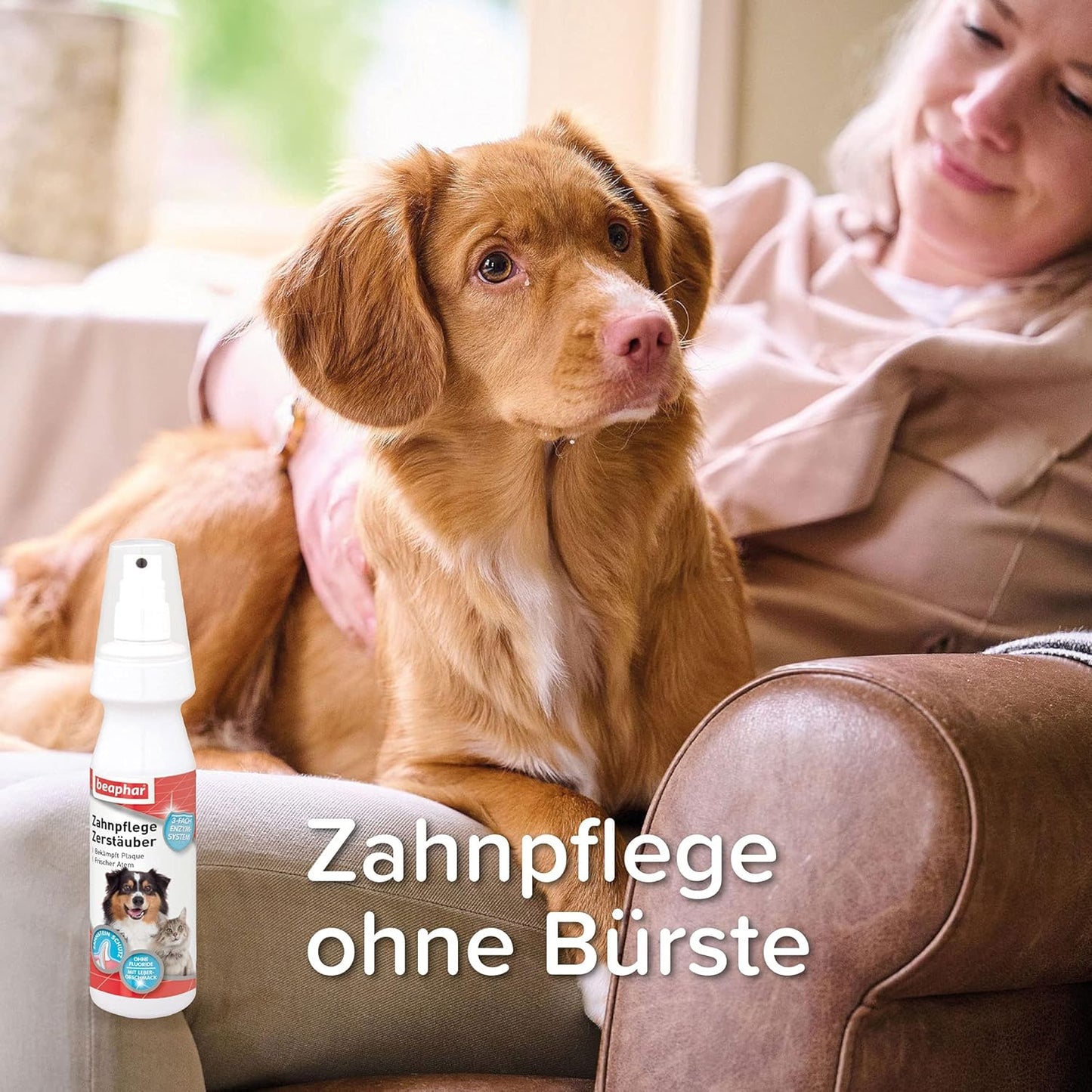 BEAPHAR - Zahnpasta Für Hunde Und Katzen - Schützt vor Plaque Und Zahnstein - Mit Leber-Geschmack - Ohne Fluoride - 100 g