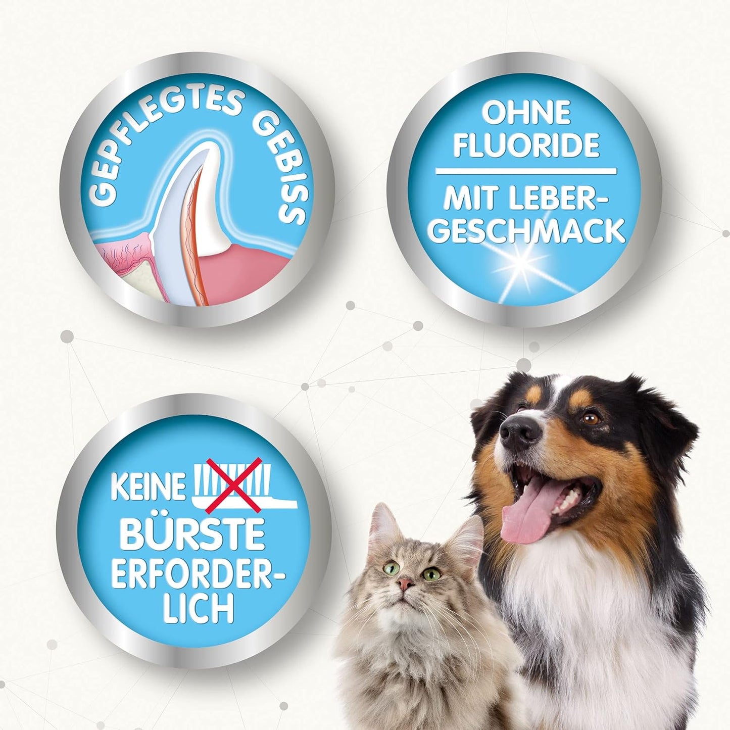 BEAPHAR - Zahnpasta Für Hunde Und Katzen - Schützt vor Plaque Und Zahnstein - Mit Leber-Geschmack - Ohne Fluoride - 100 g