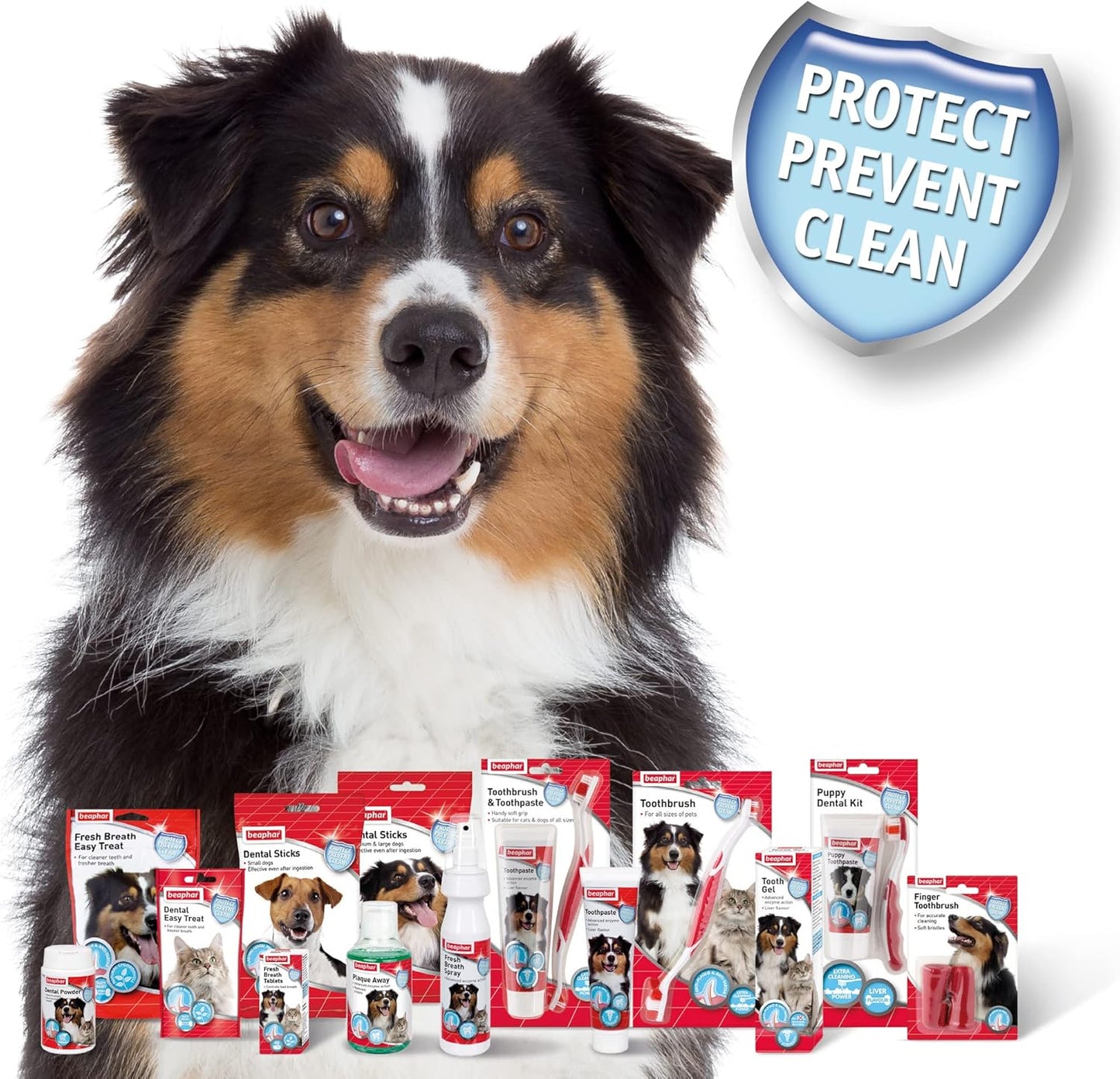 BEAPHAR - Zahnpasta Für Hunde Und Katzen - Schützt vor Plaque Und Zahnstein - Mit Leber-Geschmack - Ohne Fluoride - 100 g