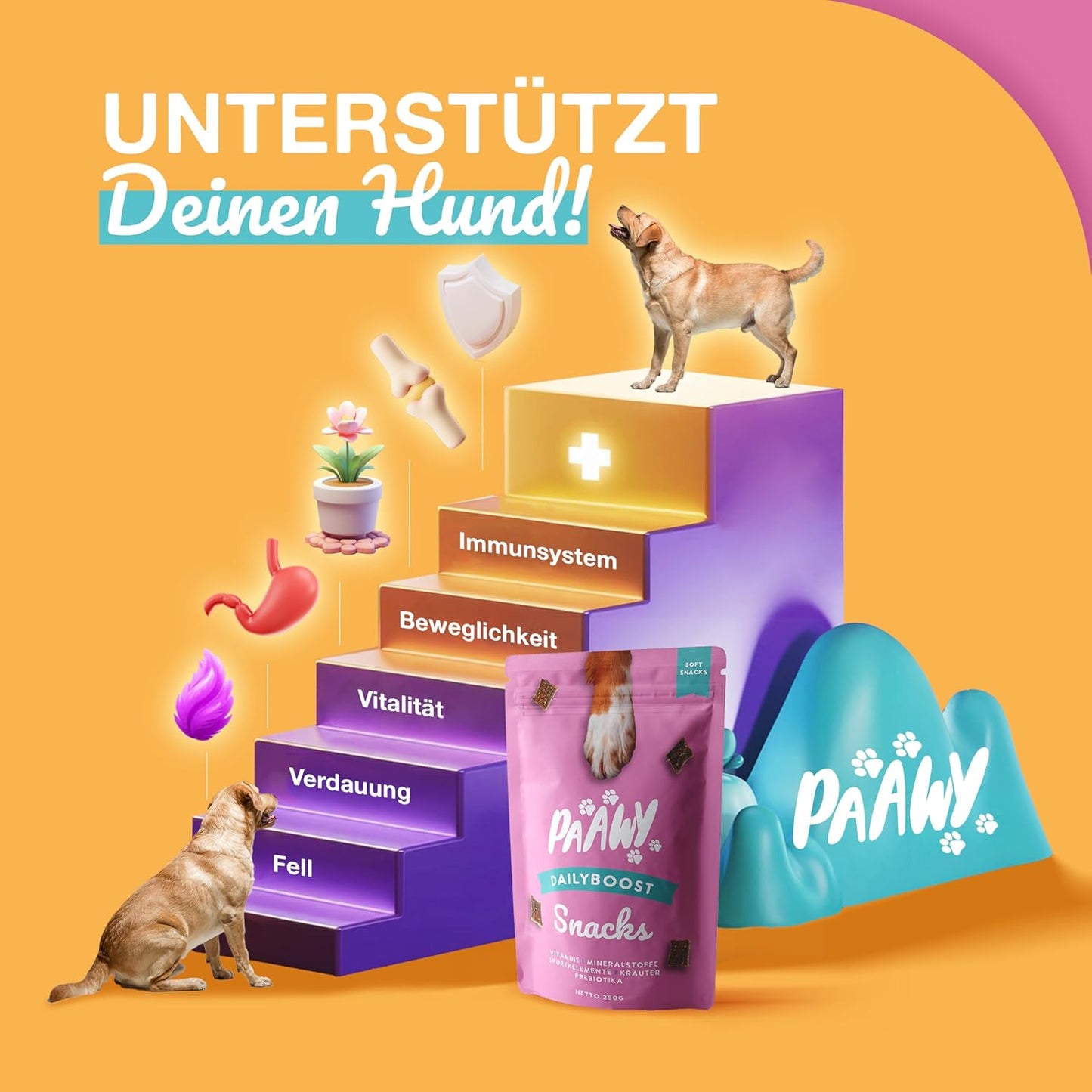 DailyBoost Snacks - Vitamin-B Komplex für Hunde - 29 Vitamine, Mineralien & Kräuter - Multivitamin für Hunde - Vitamin B1, B2, B3, B5, B6, B7, B9, B12 - Mit Prebiotika, Glucosamin & Chondroitin