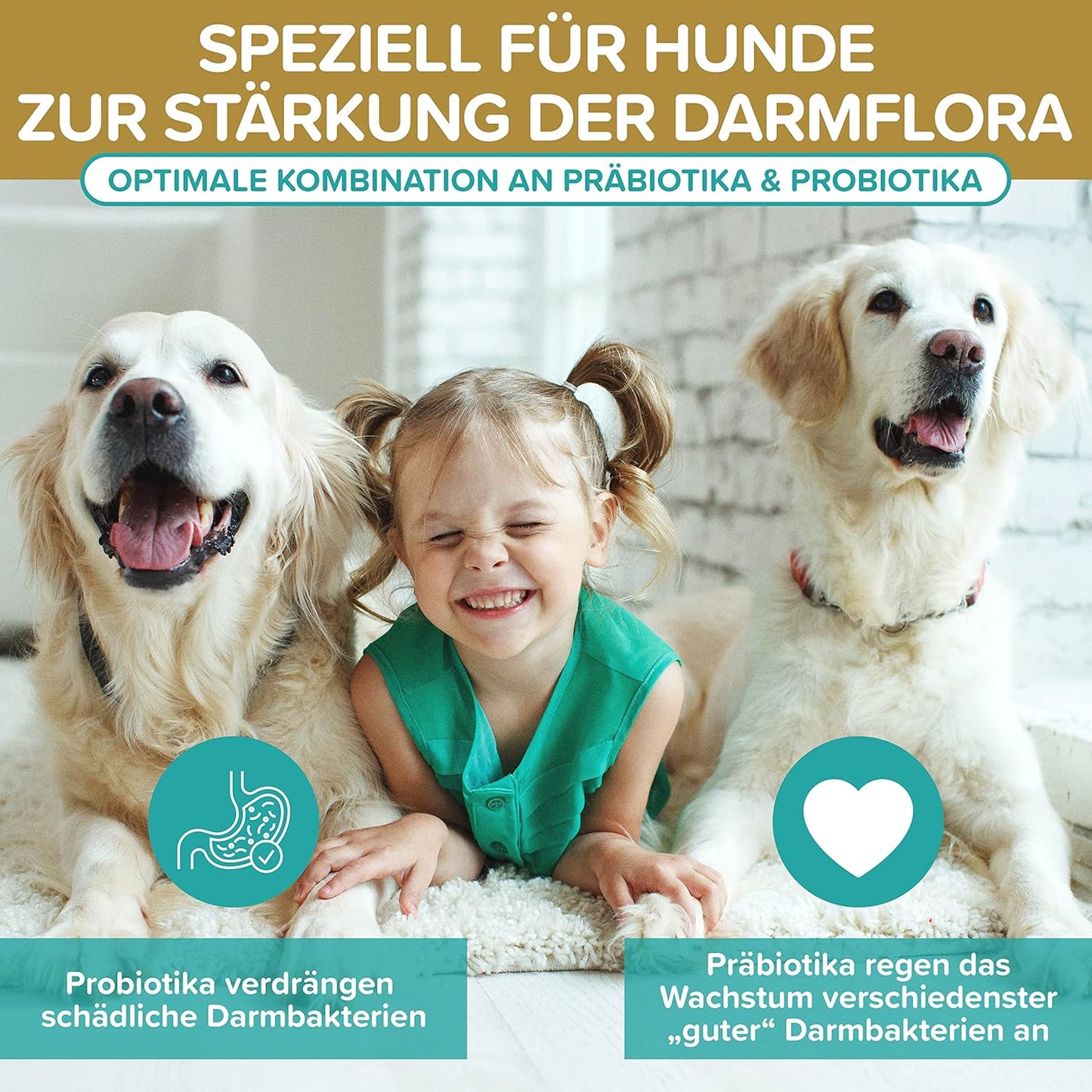 Probiotika Darmsanierung für den Hund - Premium Qualität Made in Germany - Probiotika Hund - 120 Tabletten für verbesserte Verdauung & Immunsystem - Hund Darmflora aufbauen mit Natureflow Pets