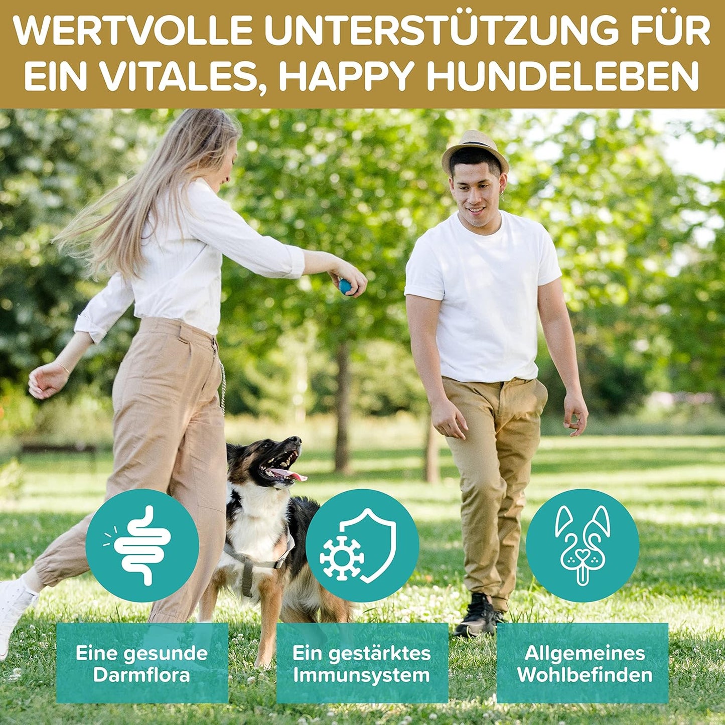 Probiotika Darmsanierung für den Hund - Premium Qualität Made in Germany - Probiotika Hund - 120 Tabletten für verbesserte Verdauung & Immunsystem - Hund Darmflora aufbauen mit Natureflow Pets